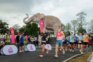 BIB: 
                            <button type="button" onclick="openModal(26528312)" class="btn btn-primary btn-sm float-right btn-popup" data-toggle="modal" data-target=".modal-high-quality">
                        <i class="fas fa-shopping-cart"></i> Add to Cart
                    </button>
                                            <button type="button" onclick="isThisMe(26528312, true)" class="btn btn-success btn-sm float-right btn-popup btn-isme hidden" data-toggle="tooltip" data-placement="bottom" title="นี่คือรูปของคุณใช่ไหม คลิกที่นี่เพื่อเอาเข้าอัลบั้ม">
                        <i class="fas fa-plus"></i> Add to album
                    </button>
                    <button type="button" onclick="isThisMe(26528312, false)" class="btn btn-warning btn-sm float-right btn-popup btn-isnotme hidden">
                        <i class="fas fa-ban"></i> Remove from album
                    </button>